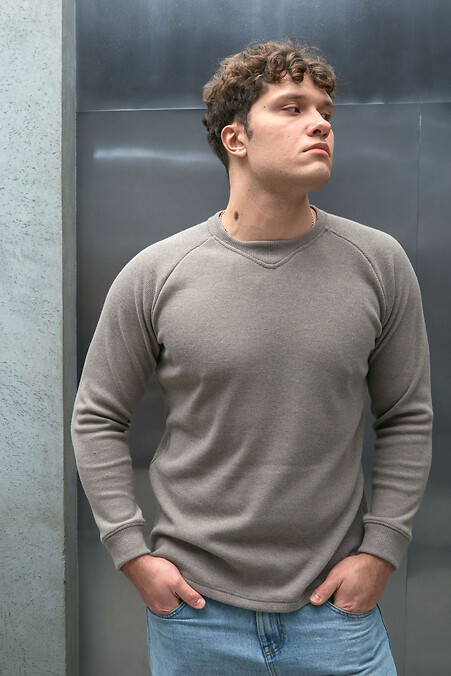 Светр чоловічий теплий джемпер трикотажний зимовий пуловер бежевий - #8034482